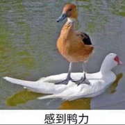 zhangjingcheng789的个人资料头像