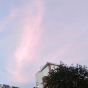 Pyguo的个人资料头像