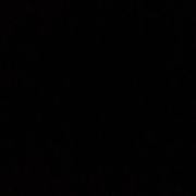 camillezhao的个人资料头像