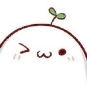 明日之雨的个人资料头像