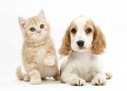 良良ctrlc的个人资料头像