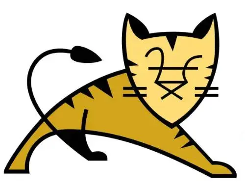 手把手教你写一个迷你版的Tomcat