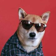 一汽中国的个人资料头像