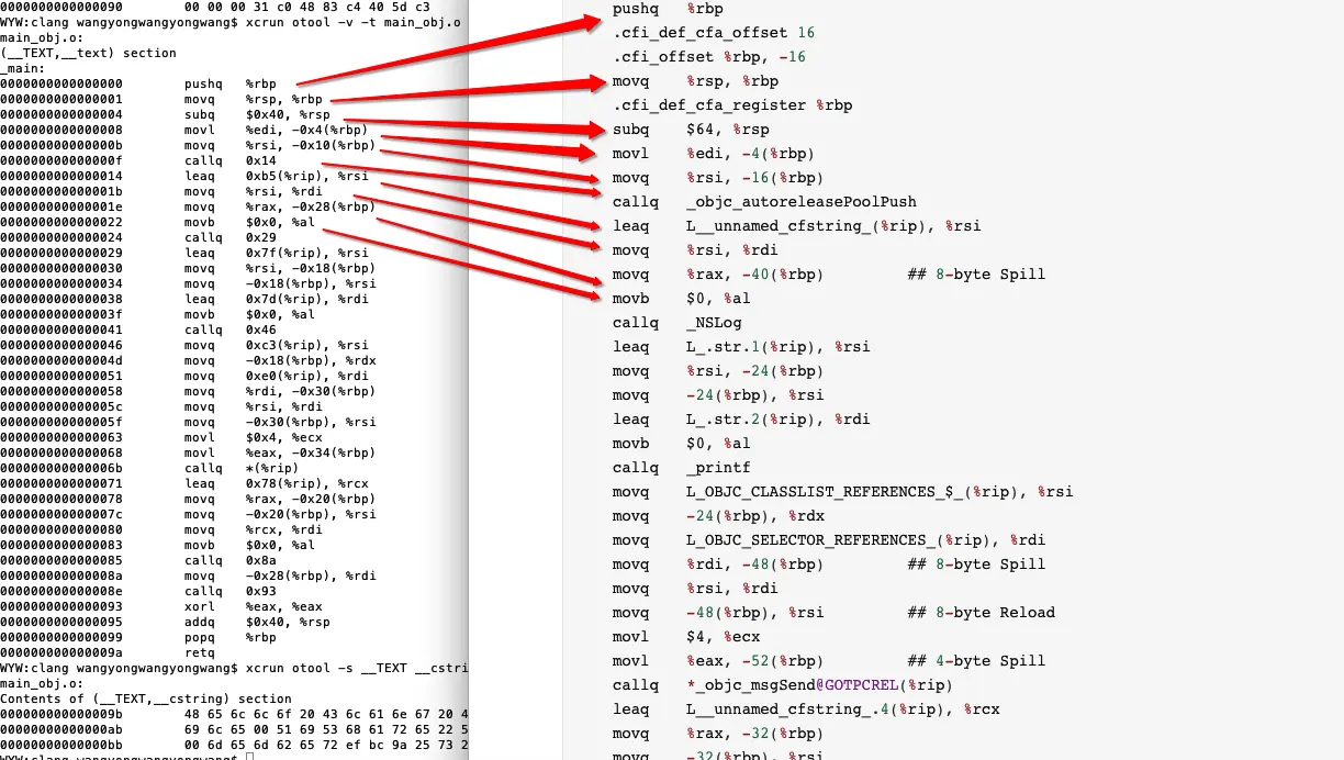 目标文件反汇编