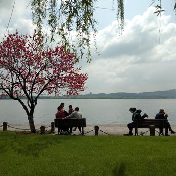 清梦倚星河于2020-04-08 17:49发布的图片