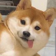 lzp橘子的个人资料头像