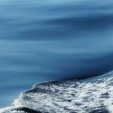 xxxL于2020-04-09 11:21发布的图片