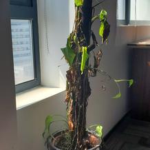 笙歌未央于2020-04-09 16:35发布的图片