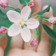 TqCoder的个人资料头像