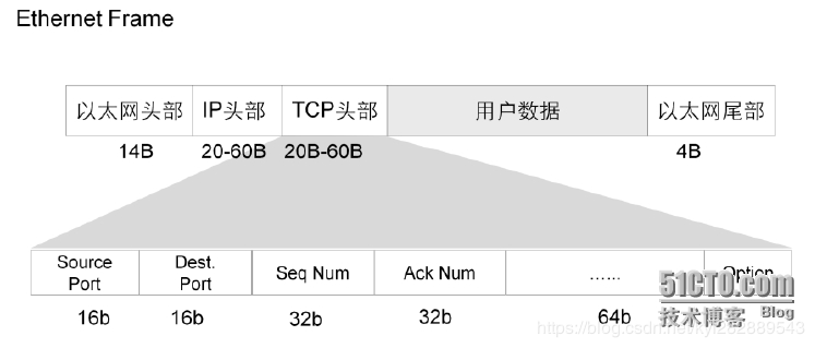 TCP数据格式