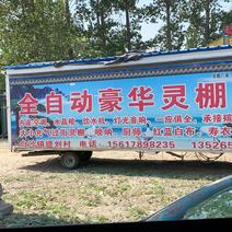 辰枫于2020-05-01 11:13发布的图片