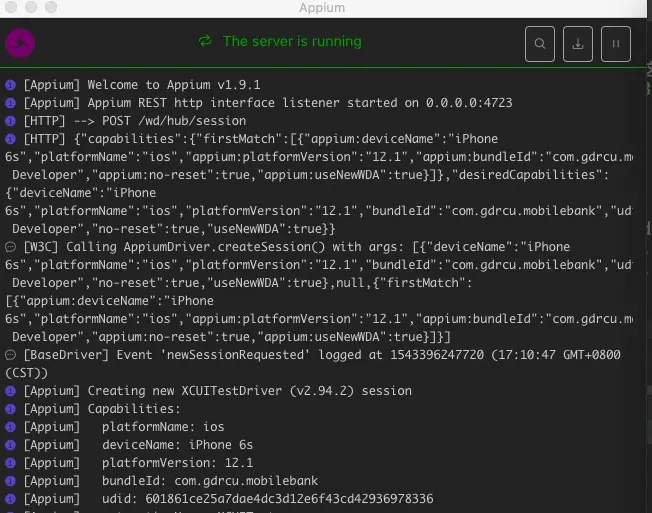 Appium Server.png