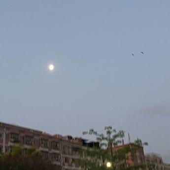 未来的日子于2020-05-10 05:27发布的图片