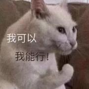Jeremymiya的个人资料头像