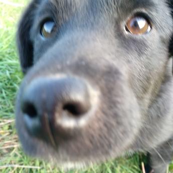 树洞robot于2020-05-10 16:58发布的图片