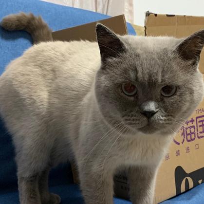 Icebear50549于2020-05-10 19:52发布的图片