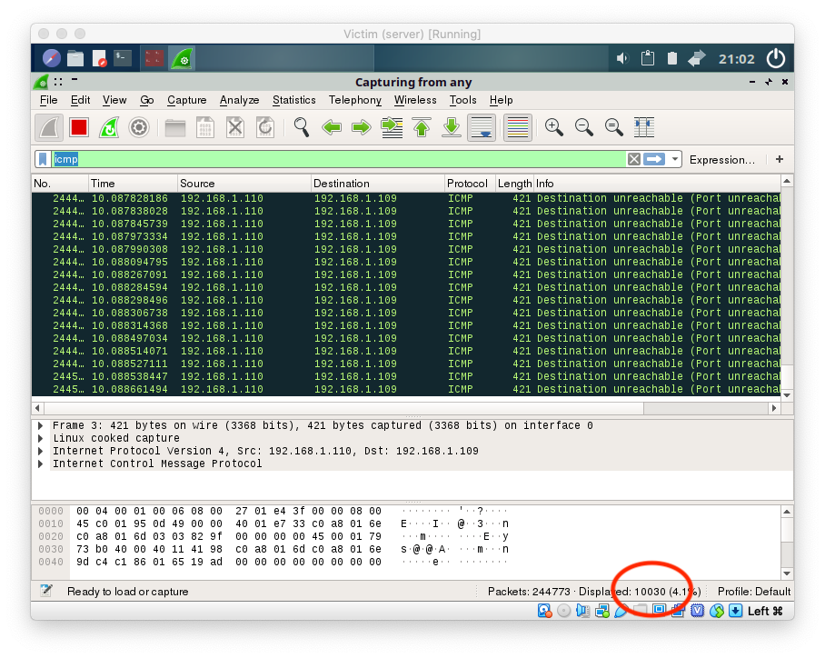 10.000 packets captured with Wireshark during a 10 seconds attack