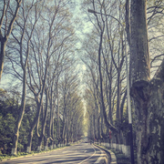 hurenxun的个人资料头像