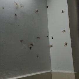 神奇的程序员于2020-05-11 12:21发布的图片