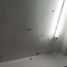 神奇的程序员于2020-05-11 12:21发布的图片