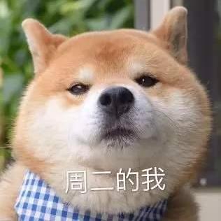 南有山海于2020-05-12 08:32发布的图片