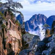 不浪漫罪行的个人资料头像