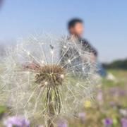 王承毅的个人资料头像