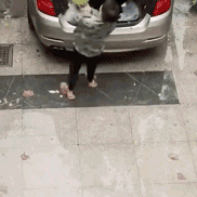 吕氏春秋于2020-05-12 23:15发布的图片