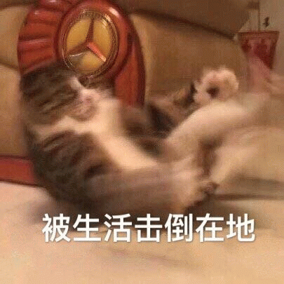 已注销于2020-05-13 09:24发布的图片