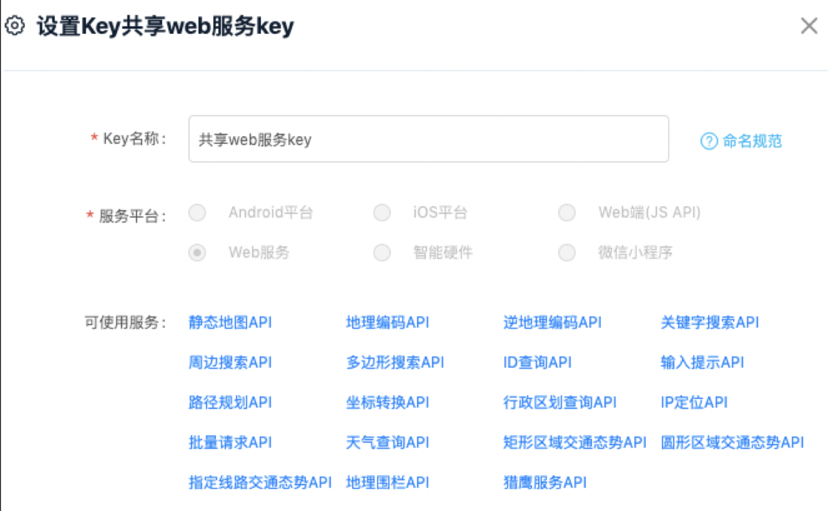 image-set_web_service_key