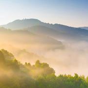 QCL68004的个人资料头像