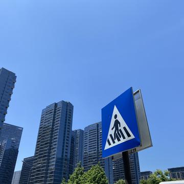 子弈于2020-05-13 19:18发布的图片
