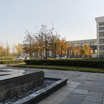 晨鼠于2020-05-14 15:39发布的图片