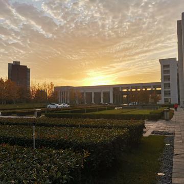 晨鼠于2020-05-14 15:39发布的图片