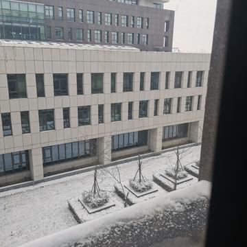 晨鼠于2020-05-14 15:39发布的图片