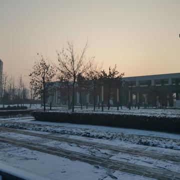 晨鼠于2020-05-14 15:39发布的图片