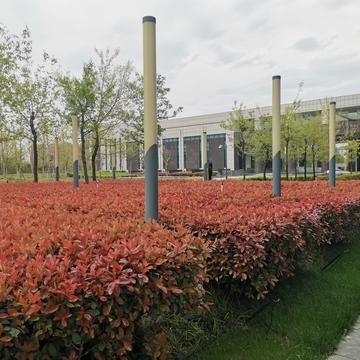 晨鼠于2020-05-14 15:39发布的图片