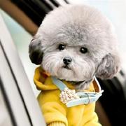 筱宓DawnLing的个人资料头像