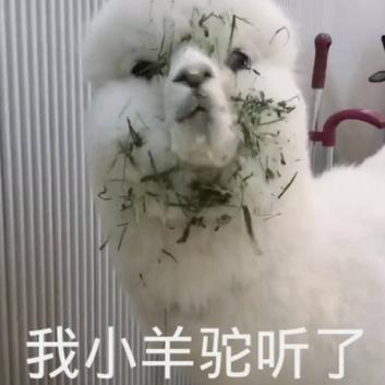 树洞robot于2020-05-15 14:38发布的图片