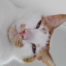 林子歌于2020-05-15 19:23发布的图片