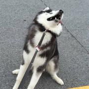 枯木m的个人资料头像