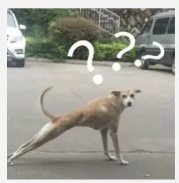 突如其来的单身