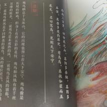 Dcison于2020-05-16 01:17发布的图片