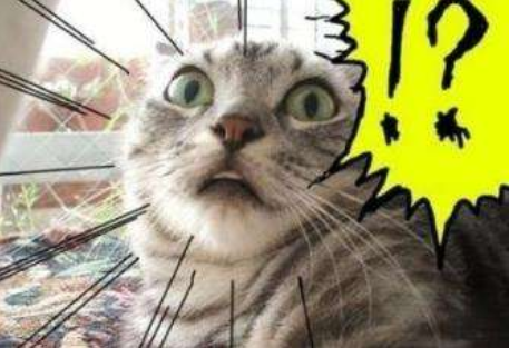 image-20200516120652333