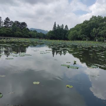 冯可乐同学于2020-05-16 14:14发布的图片