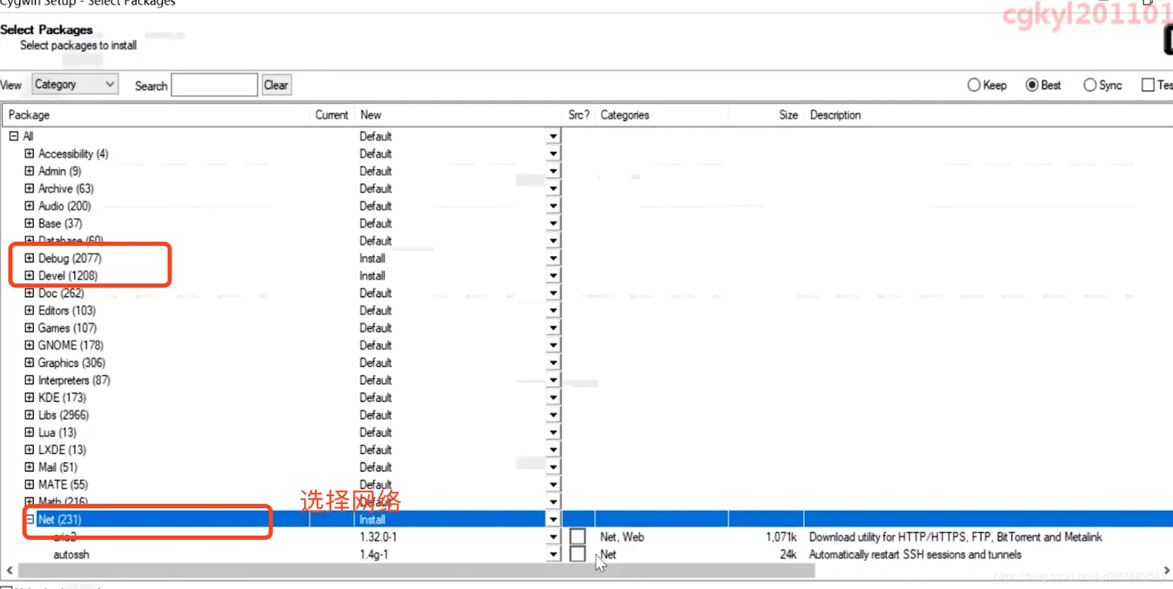 此外还需要选择网络