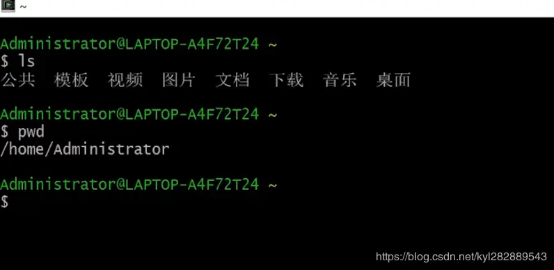 可以自由敲入linux命令