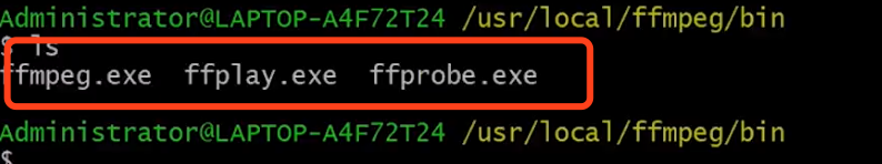 我们进入bin目录