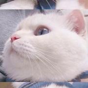 g_mlo的个人资料头像