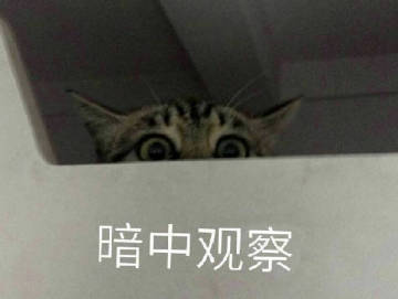 Snipaste_2020-05-17_09-25-46